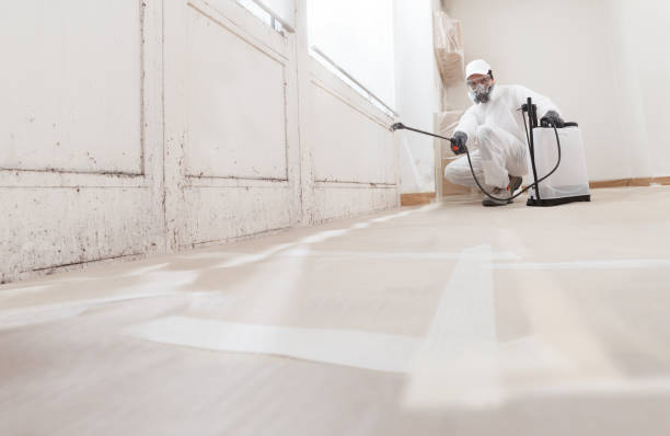 24/7 Emergency Mold Removal experts in Chatham, NJ